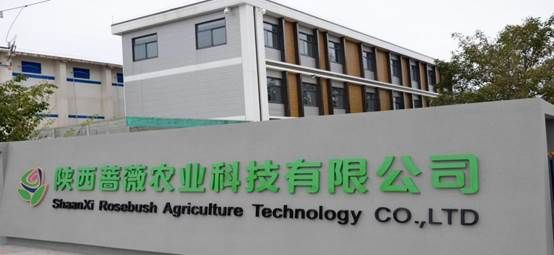 微信图片_20241011162711