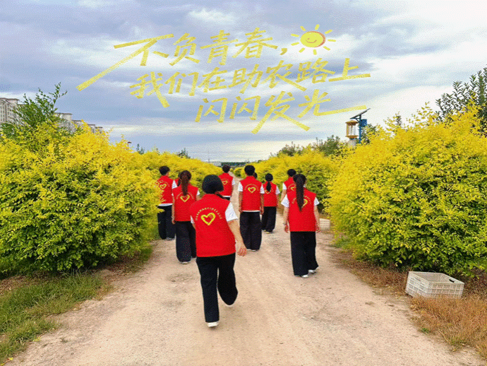 实践团合影